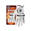 FootJoy Junior Golf Glove -Putters Shop FJ 65911E 01 1 29996.1663948259